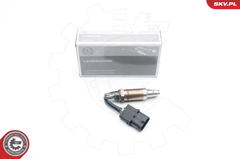 Oxygen Sensor